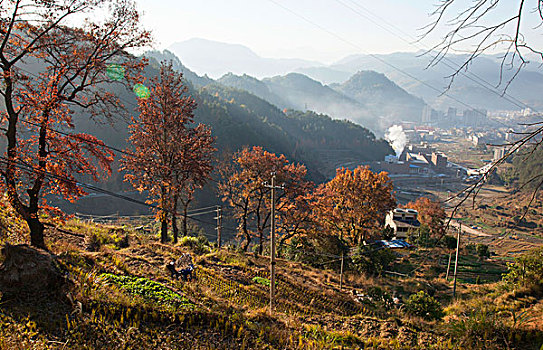 soi cau lo de sieu chuan